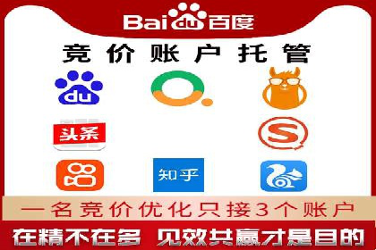 百度推广全攻略：成功案例剖析